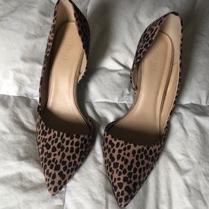 Cheetah pumps